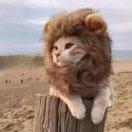 PangHu007的个人资料头像