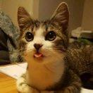 小毕同学的个人资料头像