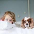 Free3610的个人资料头像