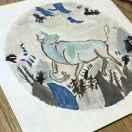 limpid同志的个人资料头像