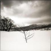 YaoJin的个人资料头像