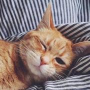 jerrypendragon的个人资料头像