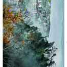 马金国的个人资料头像