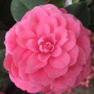 王伟东的个人资料头像