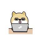 MrZhou的个人资料头像