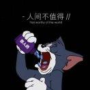 SoulCool的个人资料头像