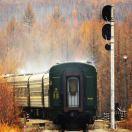 Rise酱70925的个人资料头像