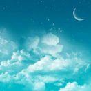 dilidilidd的个人资料头像