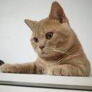 yinxiaohei1000的个人资料头像