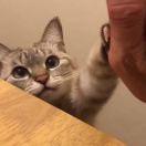 liife的个人资料头像