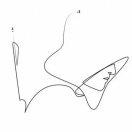 200CC的个人资料头像