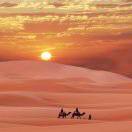 张维喜的个人资料头像