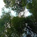 梦里的话的个人资料头像