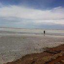 君71134的个人资料头像