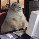 泉新一的个人资料头像