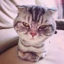 认真起来的个人资料头像