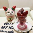 董杉菜的个人资料头像