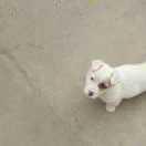 南都的个人资料头像