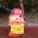 钱君71295的个人资料头像