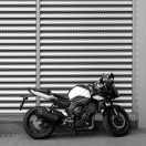 天星不想说话的个人资料头像