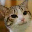 青蛰的个人资料头像