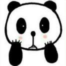 Daisy同志71362的个人资料头像