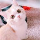 积木酱的个人资料头像