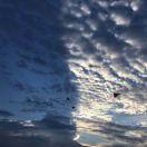 琪琪格格的个人资料头像