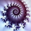 fly酱的个人资料头像