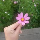 小文文同志的个人资料头像