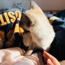 筱燕纸的个人资料头像