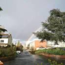 Tony同学71536的个人资料头像