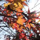 郭敬磊的个人资料头像