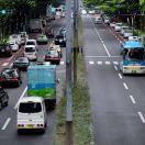 中华田园犬的个人资料头像