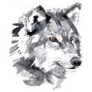 PuNK的个人资料头像