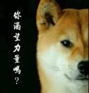 余洋紫川的个人资料头像