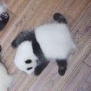 Mky的个人资料头像