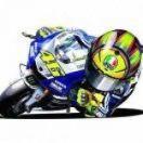 Rubicon_陈小虾的个人资料头像