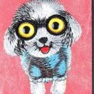 Alina的个人资料头像