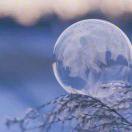 天梯本尊的个人资料头像