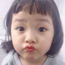 陳家菇凉的个人资料头像