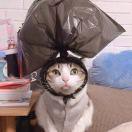 小雷同学本尊的个人资料头像