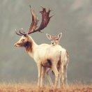 翰墨就是我的个人资料头像