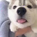 瑞瑞本尊的个人资料头像