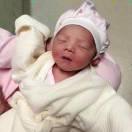 小鹿乔巴的个人资料头像