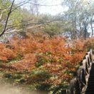 黑咖啡君的个人资料头像