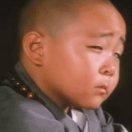 if71974的个人资料头像