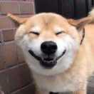 Hark71979的个人资料头像