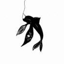 张初刚的个人资料头像