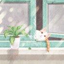 渭城朝雨的个人资料头像